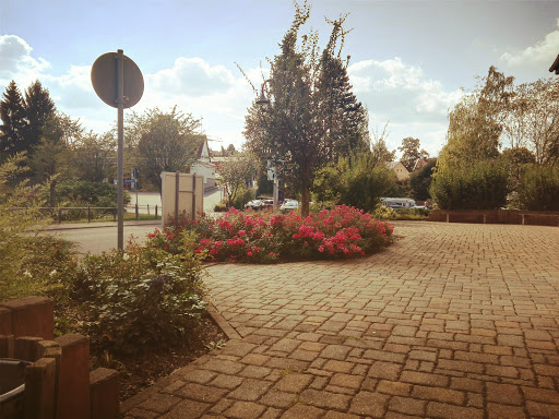 Musikschule Altenburger Land Schulteil Schmölln Johann-Friedrich-Agricola