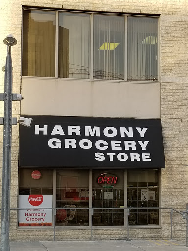 Harmony Grocery Store - Visual