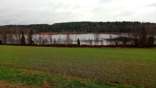 Pikkjärv