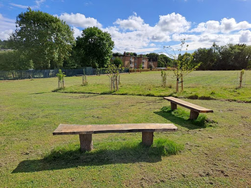 Shipley Fields - Visual