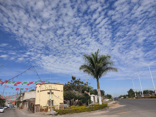 Plaza de Santa Catarina (Benito Juárez) - Thumbnail