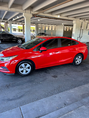 Diamond Plus Mobile Detailing