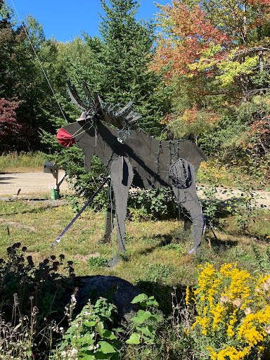 Sue Mooney, Realty of Maine - Thumbnail