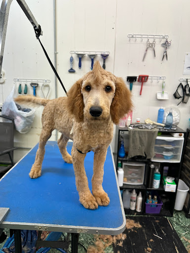 Grooming shop(Ledka) - Thumbnail