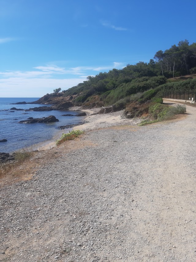 Plage des Salins
