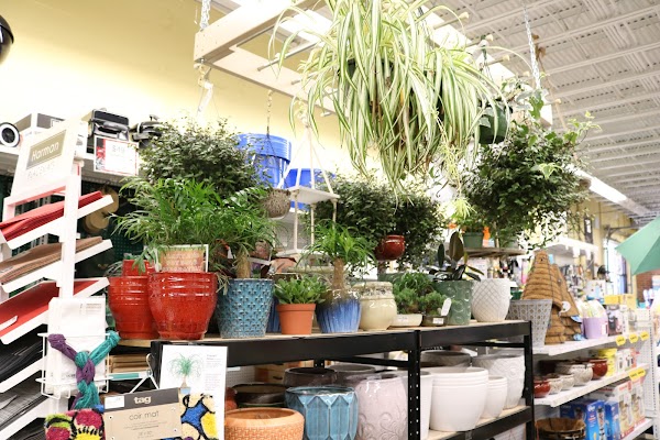 Canton Ace Hardware photo 1