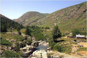 Photo n°23 de Promenade à Cheval en Corse à Poggiolo (Promenade)