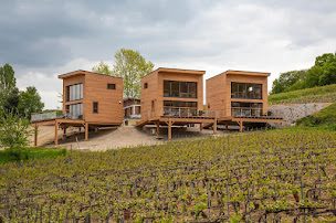 Photo n°1 de BATI VINI INGENIERIE à Épernay (Entreprise de construction)