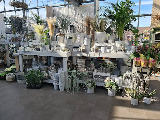 Blumen Scheumann - Visual
