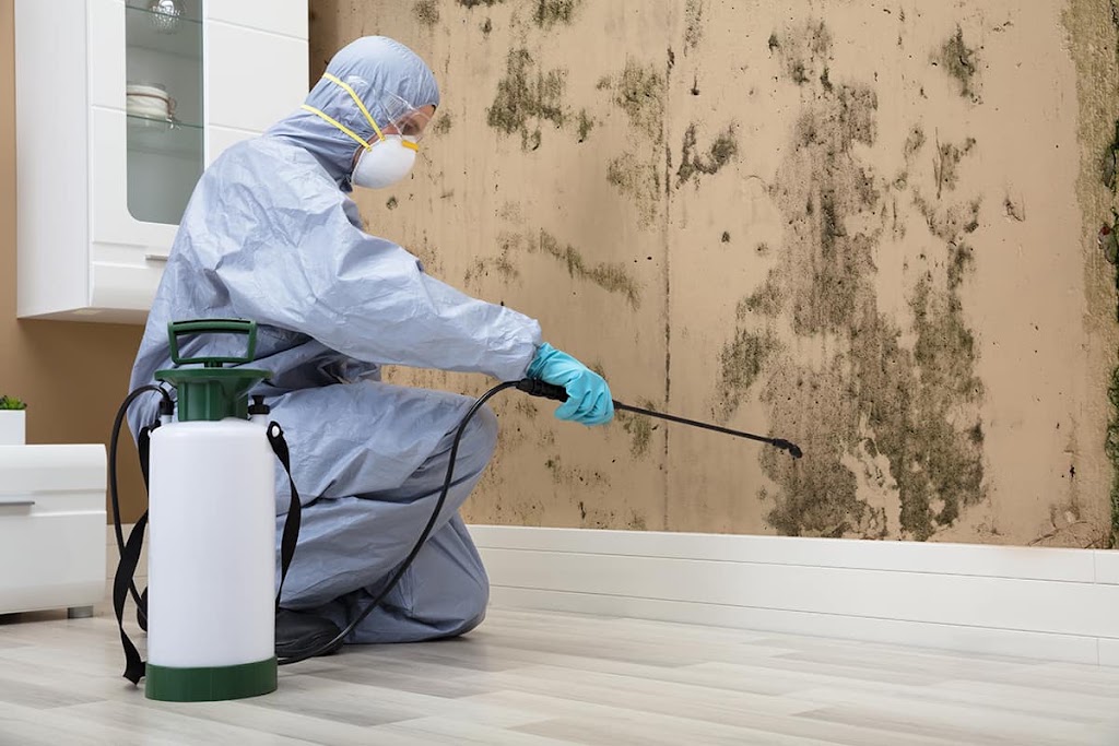 Mold Remediation of Orlando photo