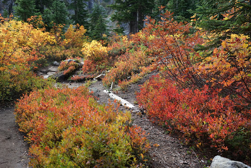 Rachel Lake Trailhead - Thumbnail