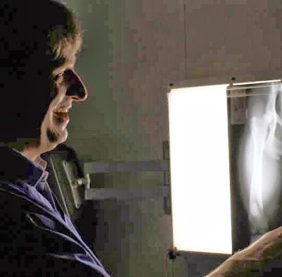 Photos of Botanic Veterinary Hospital