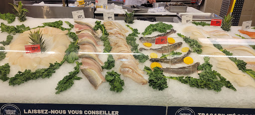 Marché Kelly Maloney Inc.