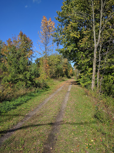 Friends Of The White Pine Trail - Thumbnail