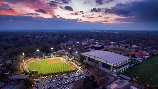 Foley Field - Visual