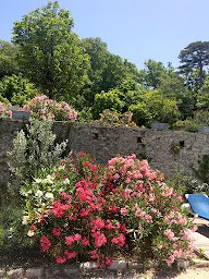 Photo n°4 de Château De Peyrolles à Apt (Agence de location d’appartements à court terme)