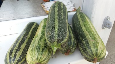Photos of Язовир Ясен