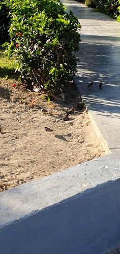 Casa Museo José Quiñones - Pimentel