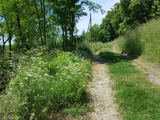 Raspenburg - Visual
