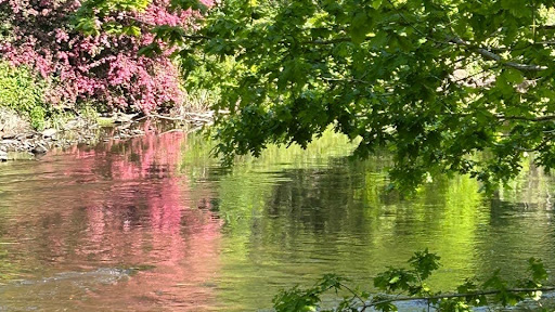 Magpie Cottages & Spa