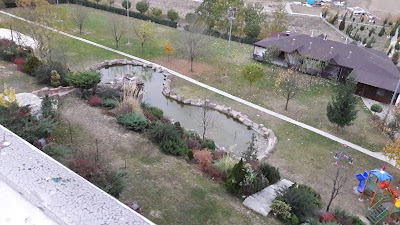 Photos of Hotel Angelacoma
