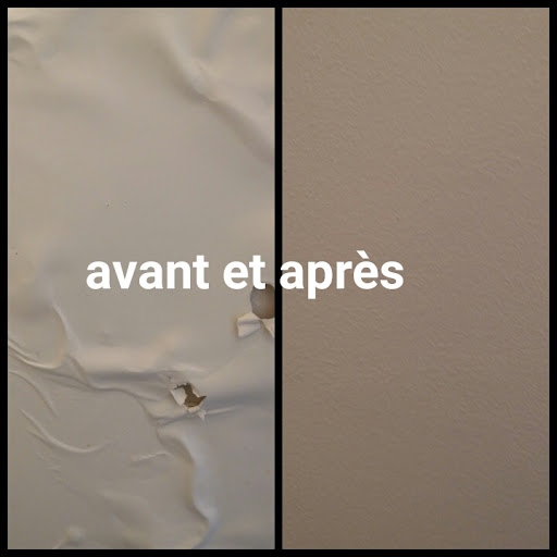 Photo de LE BARON à Roches-Prémarie (86340)