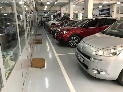 Photos of Zodiac Motor Vehicle - Peugeot Dealer