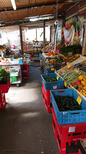 Teichmarkt - Thumbnail