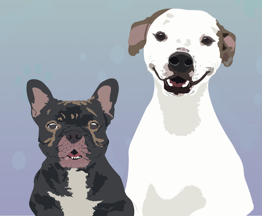 Alamo Pet Experts