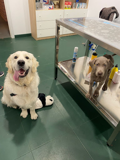 Clínica veterinaria Vet Family Alfafar