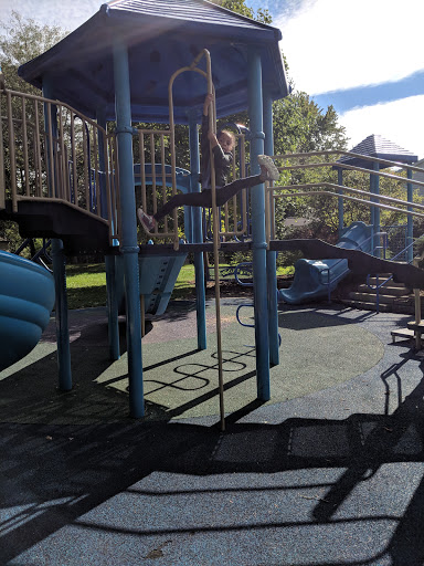 Pingree Park - Visual