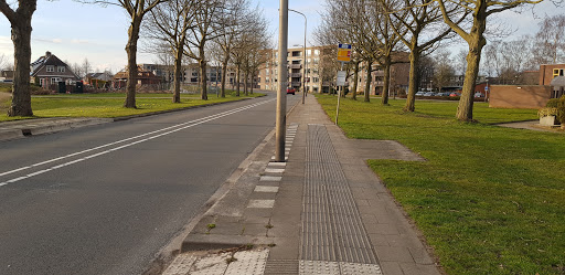 Raalte, Merel