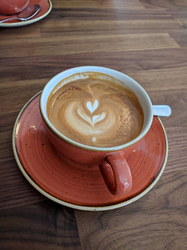 Brooklyn Habit