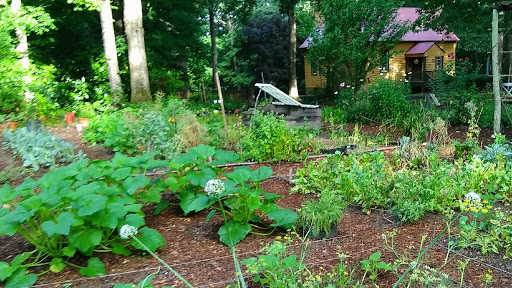 The Garden At Portridge - Thumbnail