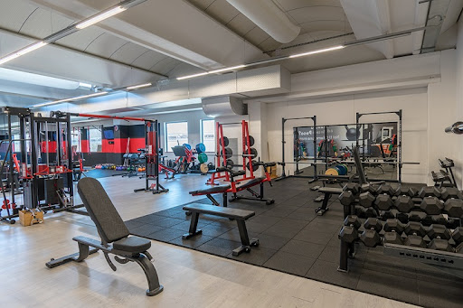 Palestra Vecchia Maniera