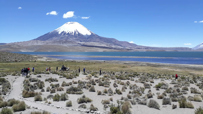 Opiniones de Suma Inti Viajes Tour Arica Lago Chungara en Arica - Agencia de viajes
