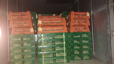 Photos of Pt. Japfa Comfeed Indonesia. Tbk Unit HTC Palu