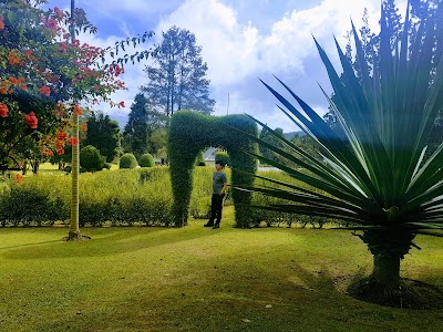 Photos of Brastagi Cottage