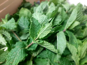 Photo n°7 de GAEC Le Champ des Gourmands à Roulans (Ferme bio)