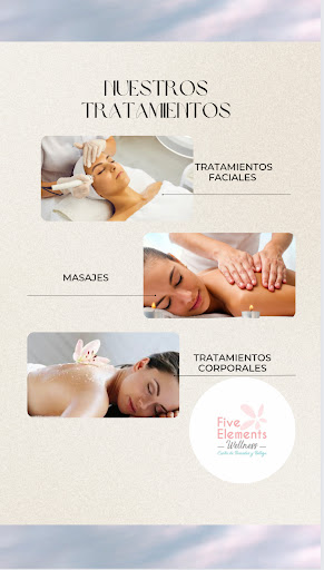 Five Elements Wellness - Visual