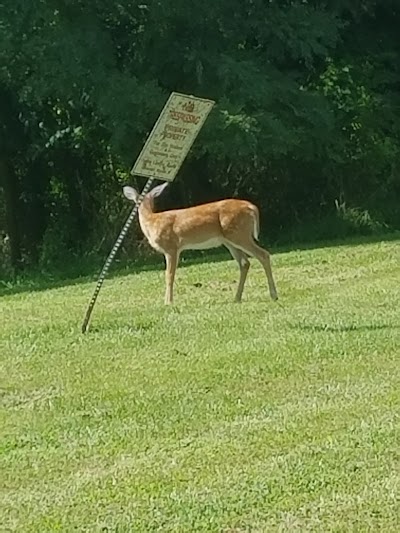 Lower Ferry Park