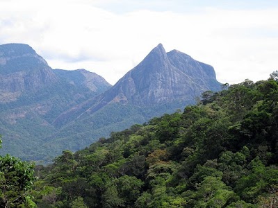 Photos of Meemure Forest Lodge