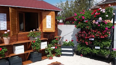 Photos of Kir&aacute;ly Aut&oacute;k&ouml;lcs&ouml;nző - Kom&aacute;rom (Kir&aacute;ly Aut&oacute;ker Kft.)