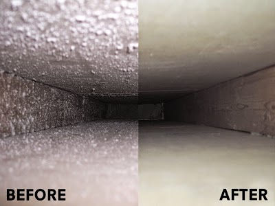 The Green Team Carpet & Air Duct Cleaning