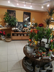 Photo n°31 de Fleuriste Georgeault à Saint-Aubin-du-Cormier (Fleuriste)