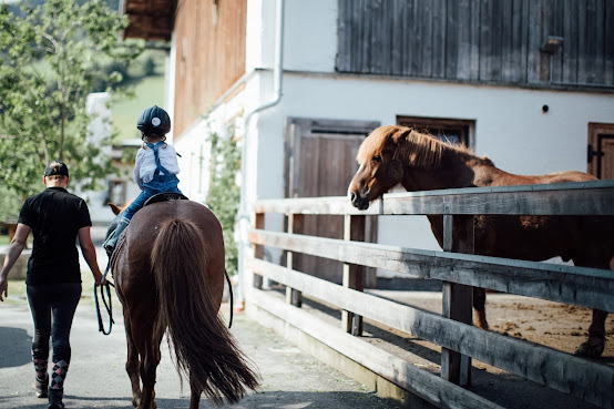 Familien Natur Resort Moar Gut by null