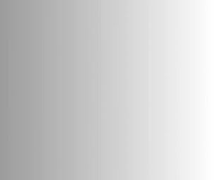 Photo n°8 de Le Grappillon à Nantes (Restaurant méditerranéen)