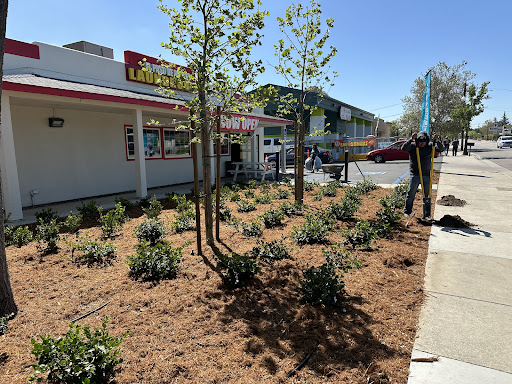 Paso de Robles Laundromat - Thumbnail