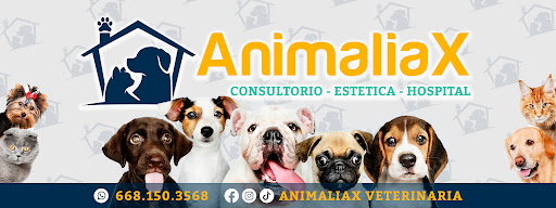 Animaliax Veterinaria