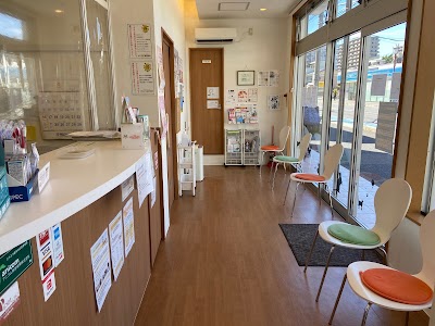 ぽっとまむ動物病院